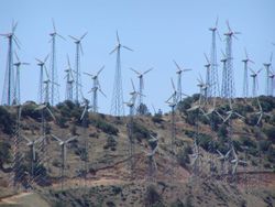 Tehachapi Wind Farm