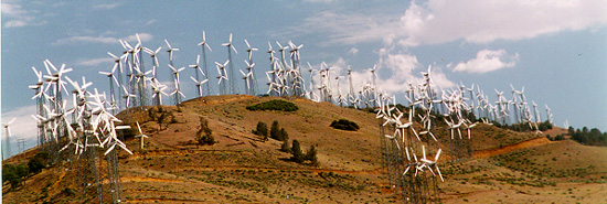 Tehachapi Wind Farm