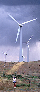 Tehachapi Wind Farm